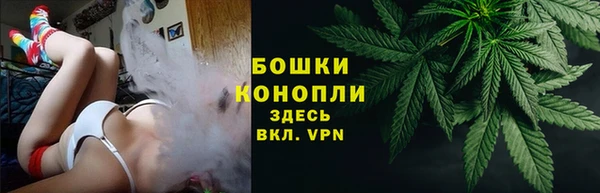трава Беломорск
