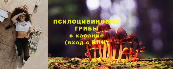 кристаллы Белокуриха