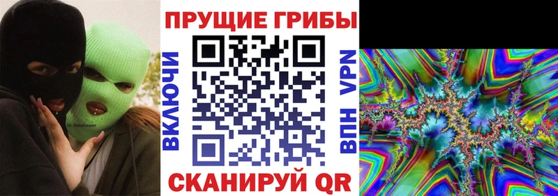 продажа наркотиков Пионерский Псилоцибиновые грибы MAGIC MUSHROOMS