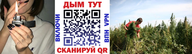 Шишки марихуана Amnesia  Пионерский 
